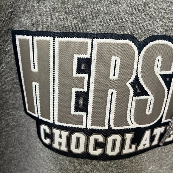 Authentic Hershey Park sweatshirt never worn washed once grey size small - Picture 4 of 4